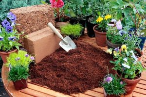 coconut fiber