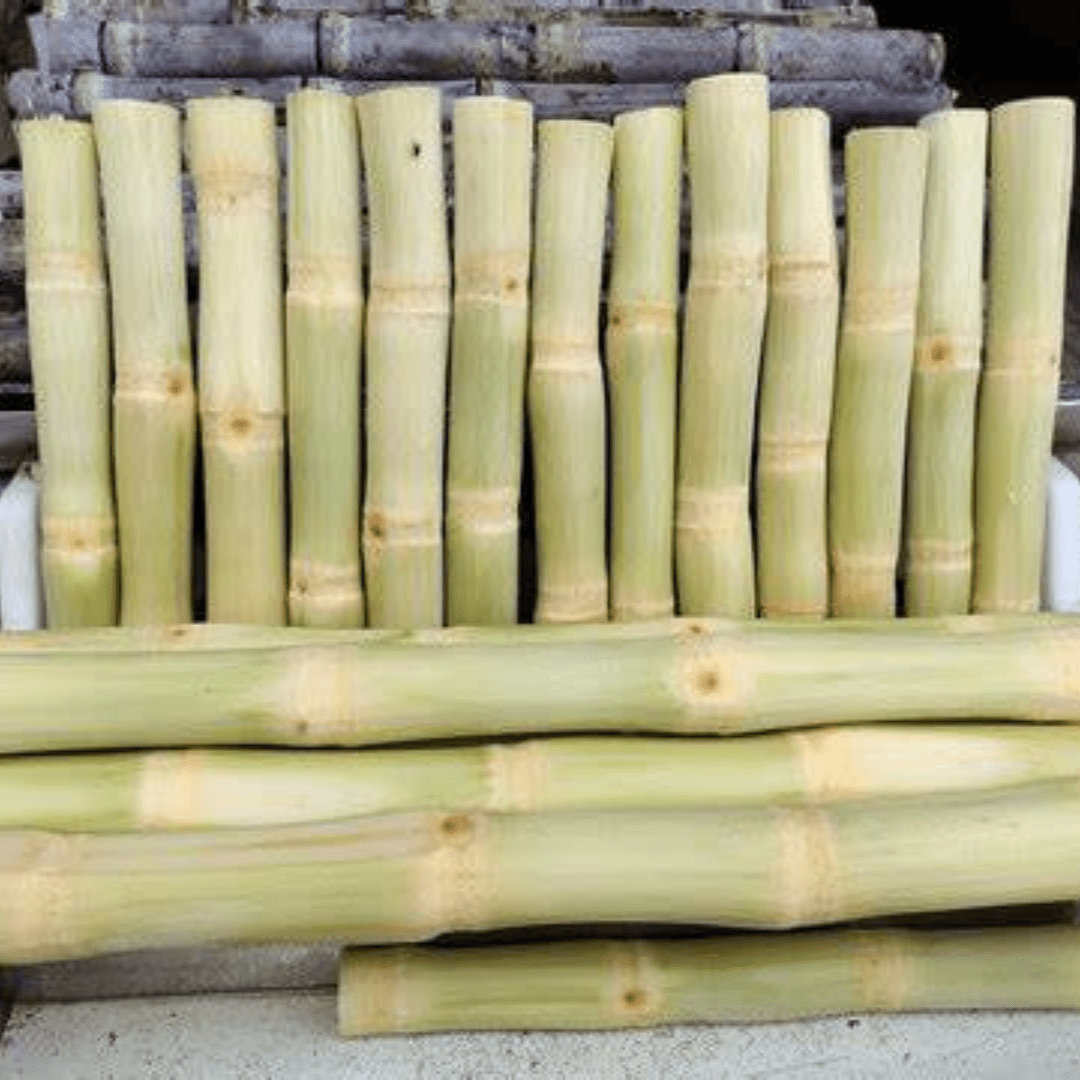 Frozen Sugar cane