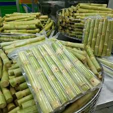 Frozen Sugar cane - Image 6