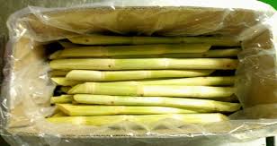 Frozen Sugar cane - Image 3