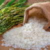white rice