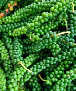 GREEN PEPPER