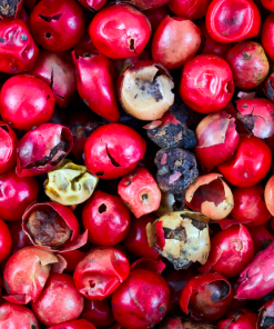 RED PEPPER
