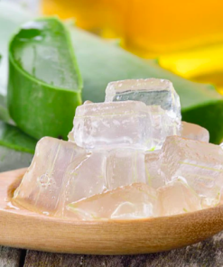 Alternative view of CANNED ALOE VERA JELLY