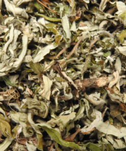 Alternative view of DRIED MUGWORT