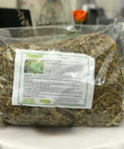 Alternative view of DRIED NETTLE