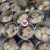 canned lychee
