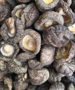 Alternative view of SHIITAKE MUSHROOM