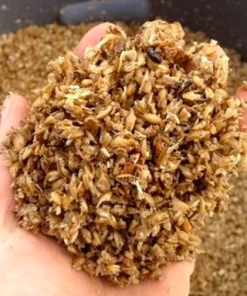 BREWER'S GRAIN