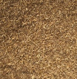Alternative view of DRIED BREWER'S GRAINS