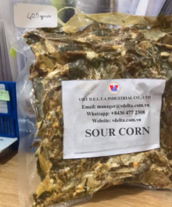 Alternative view of SOUR CORN ( CORN SILAGE )