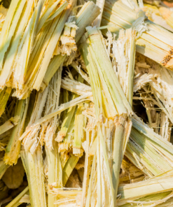 DRIED BAGASSE
