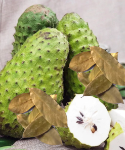 Dried Soursop Leaves