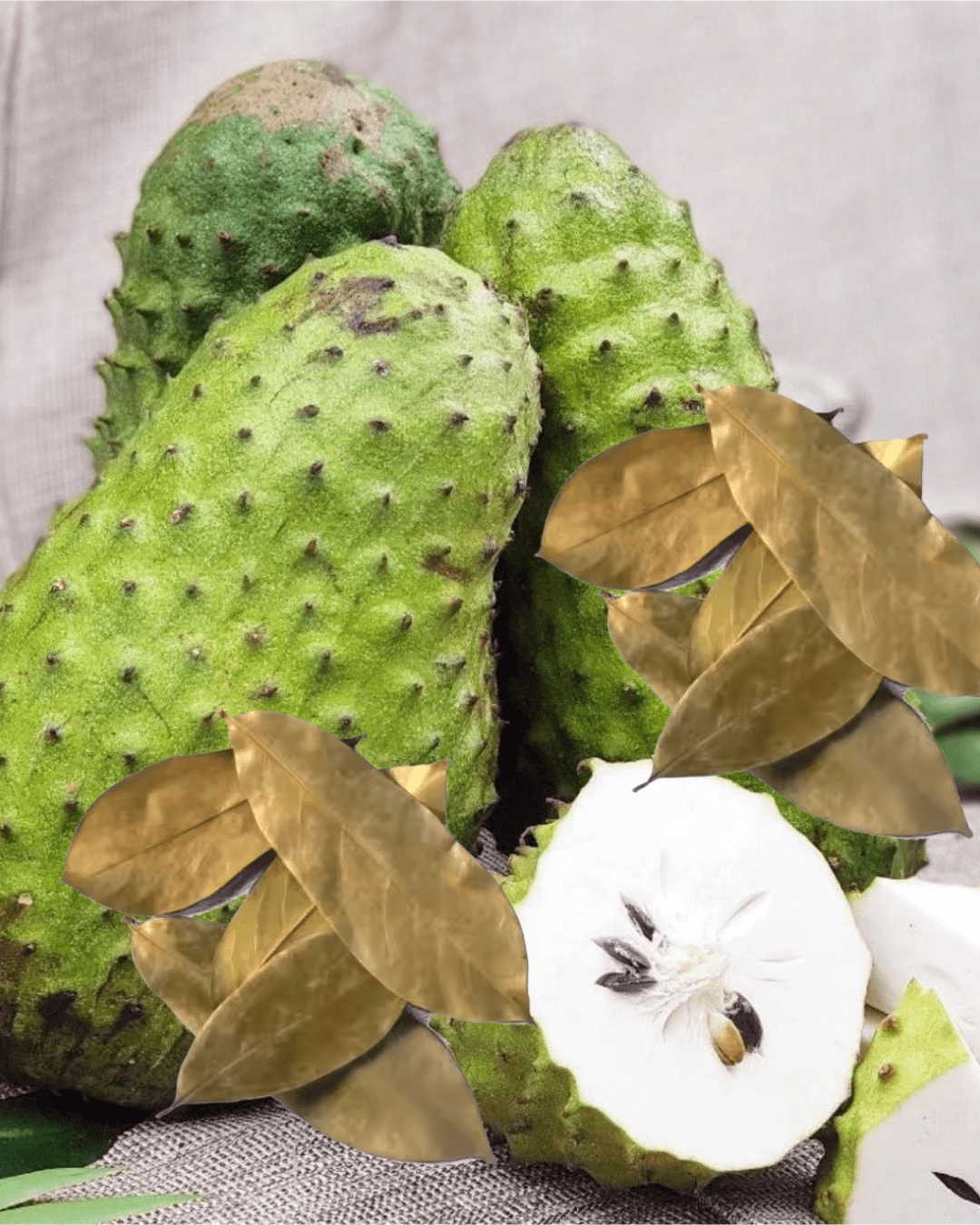 Dried Soursop Leaves