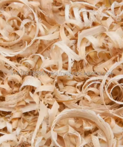 Wood Shaving