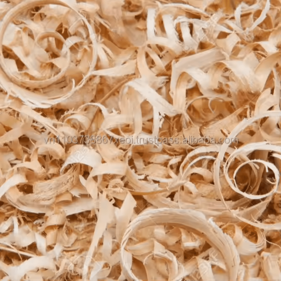 Wood Shaving