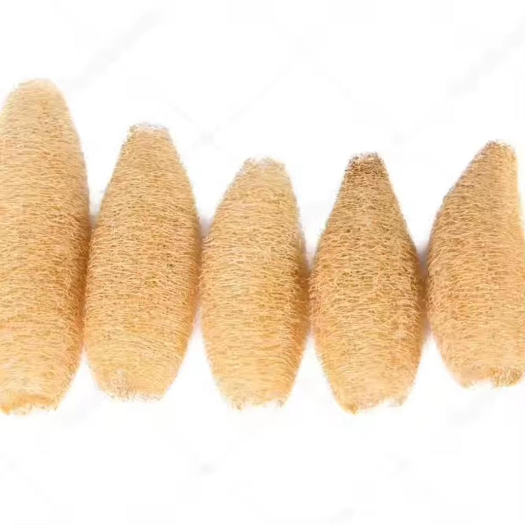 Cheap Loofah Sponge - Image 3