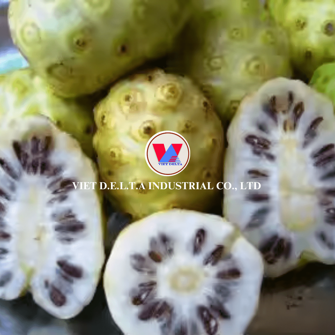 Dried noni fruit - Image 3