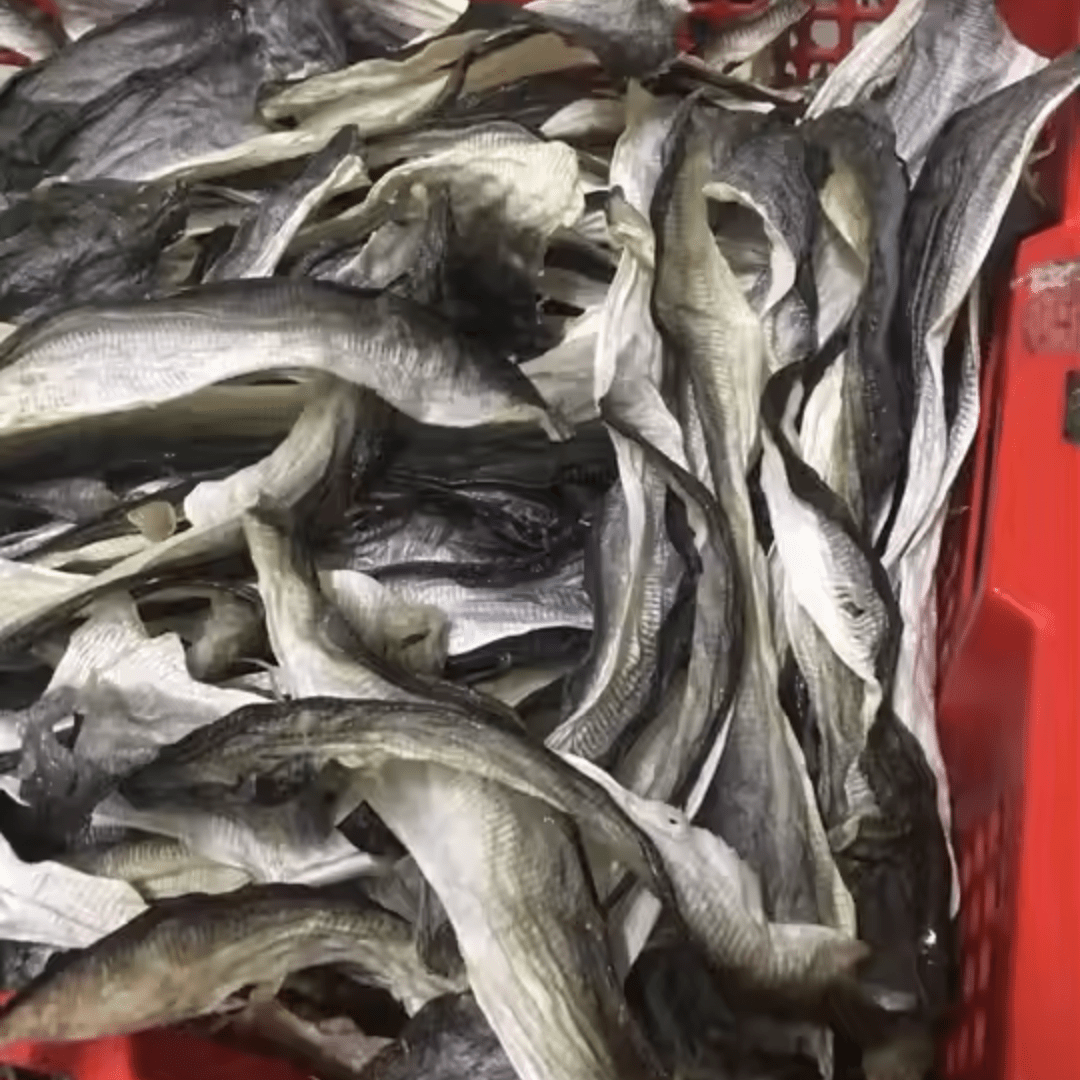 DRIED BASA FISH SKIN - Image 4
