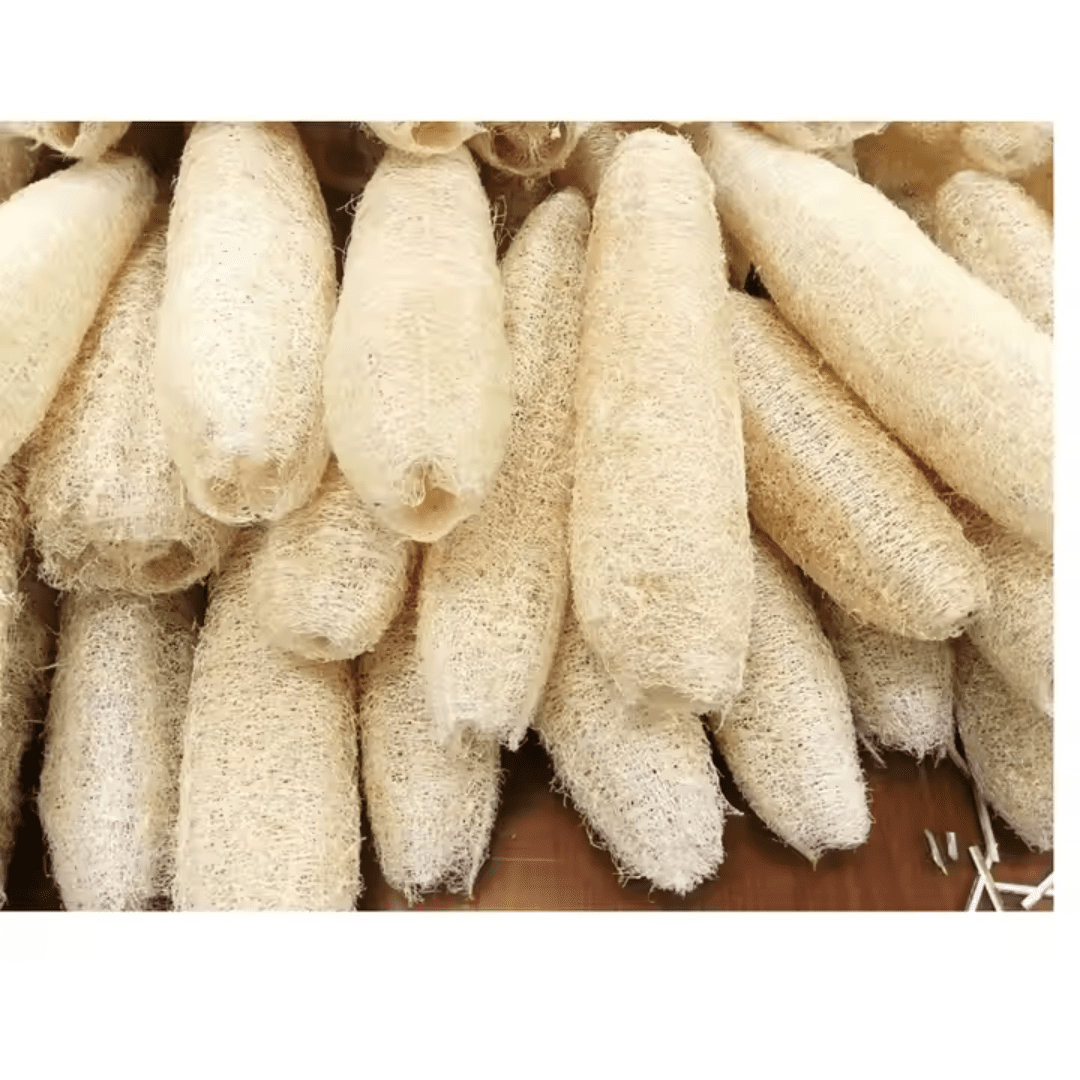 Cheap Loofah Sponge - Image 4
