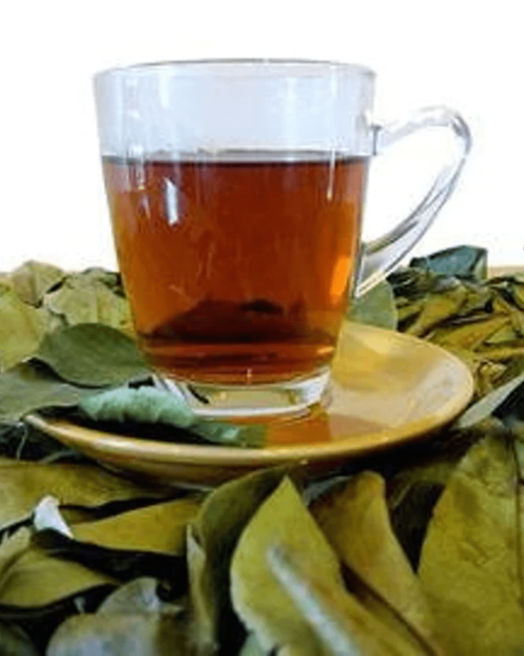 Dried Soursop Leaves - Image 6