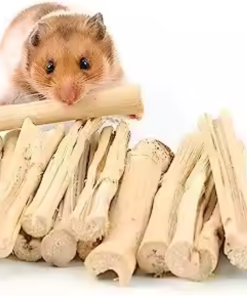 Alternative view of DRIED SUGARCANE STICK