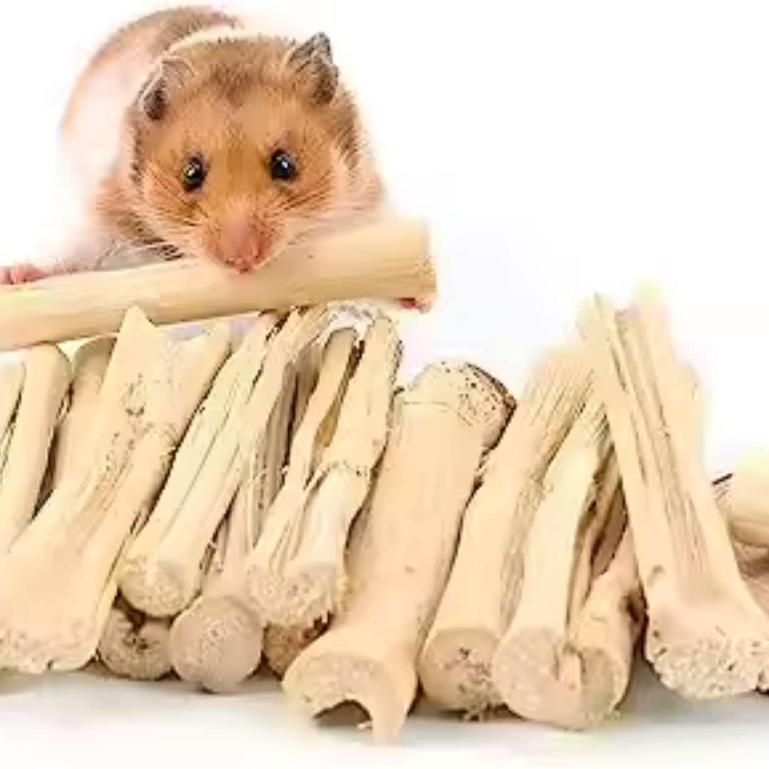 DRIED SUGARCANE STICK - Image 2