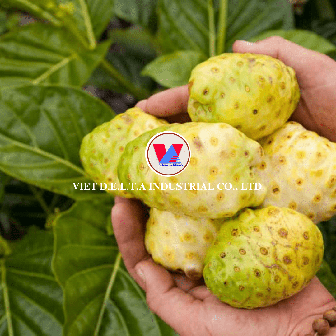 Frozen Noni - Image 5