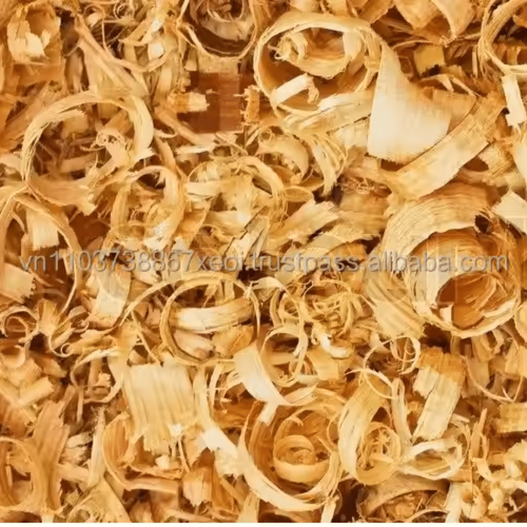 Wood Shaving - Image 5