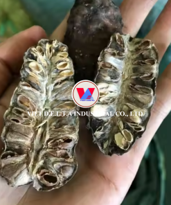 Alternative view of Dried noni fruit