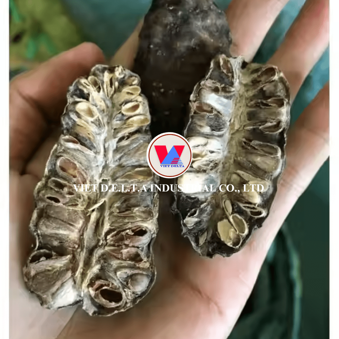 Dried noni fruit - Image 2