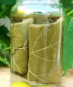 Pickled Grape Leaves