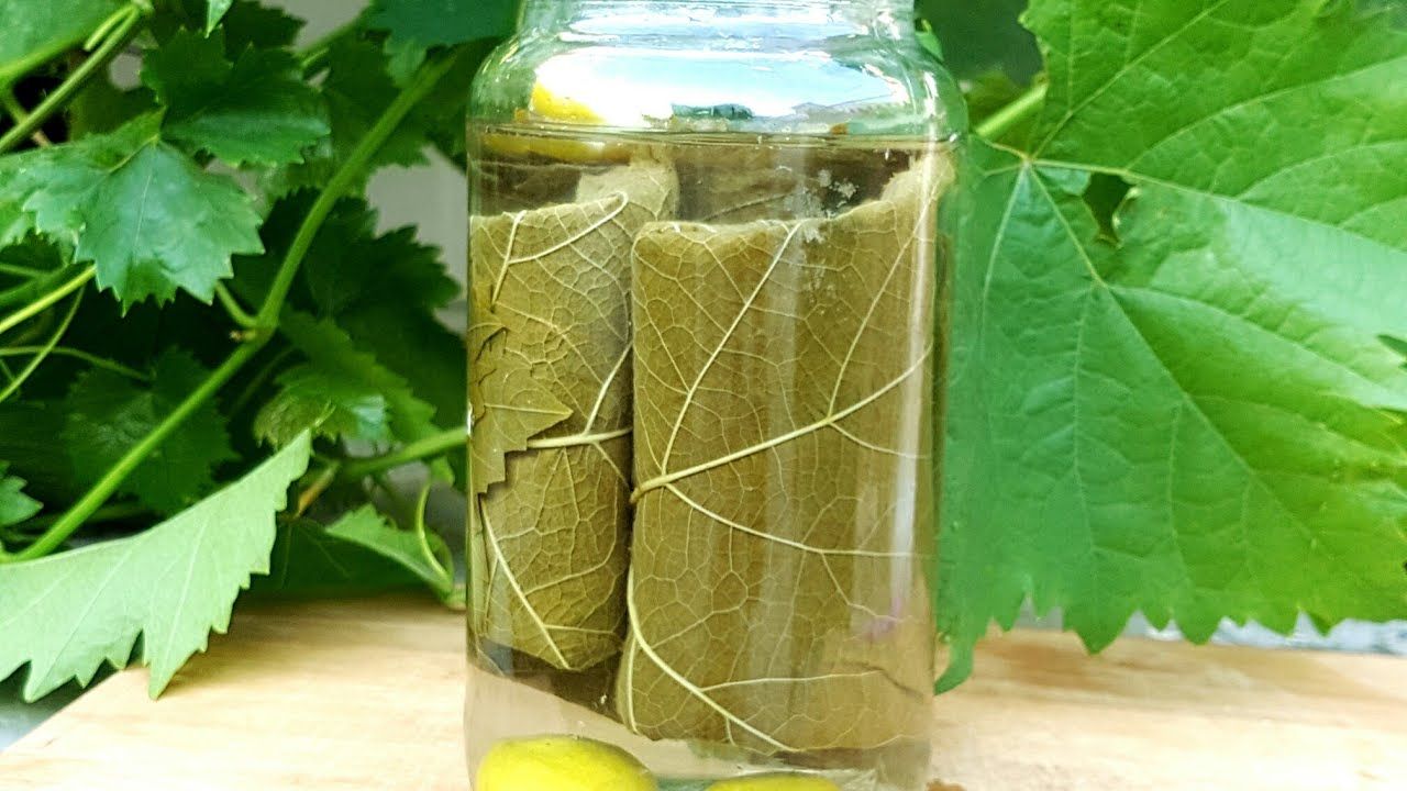 Pickled Grape Leaves