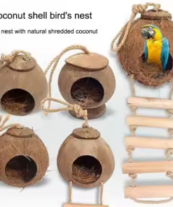 COCONUT SHELL BIRD HOUSE