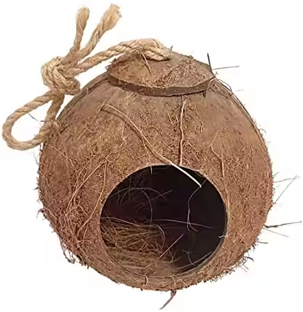 COCONUT SHELL BIRD HOUSE - Image 2