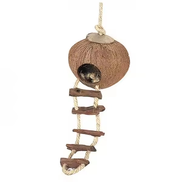 COCONUT SHELL BIRD HOUSE - Image 3