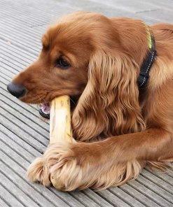 COFFEE WOOD CHEW