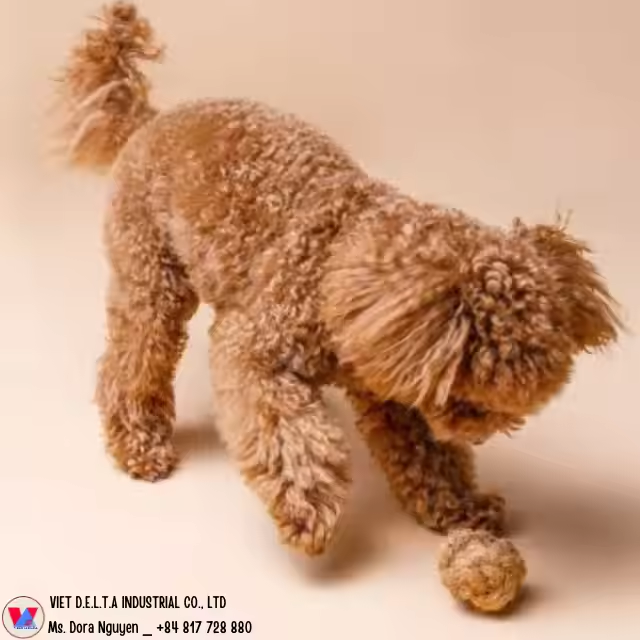 COCONUT HUSK BALL DOG TOY - Image 2