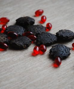 Alternative view of Gac Seeds