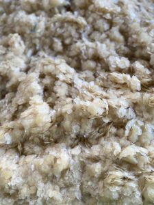 Tilapia Fish Scales for Collagen