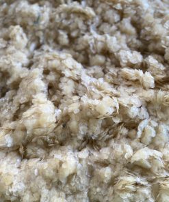 Tilapia Fish Scales for Collagen