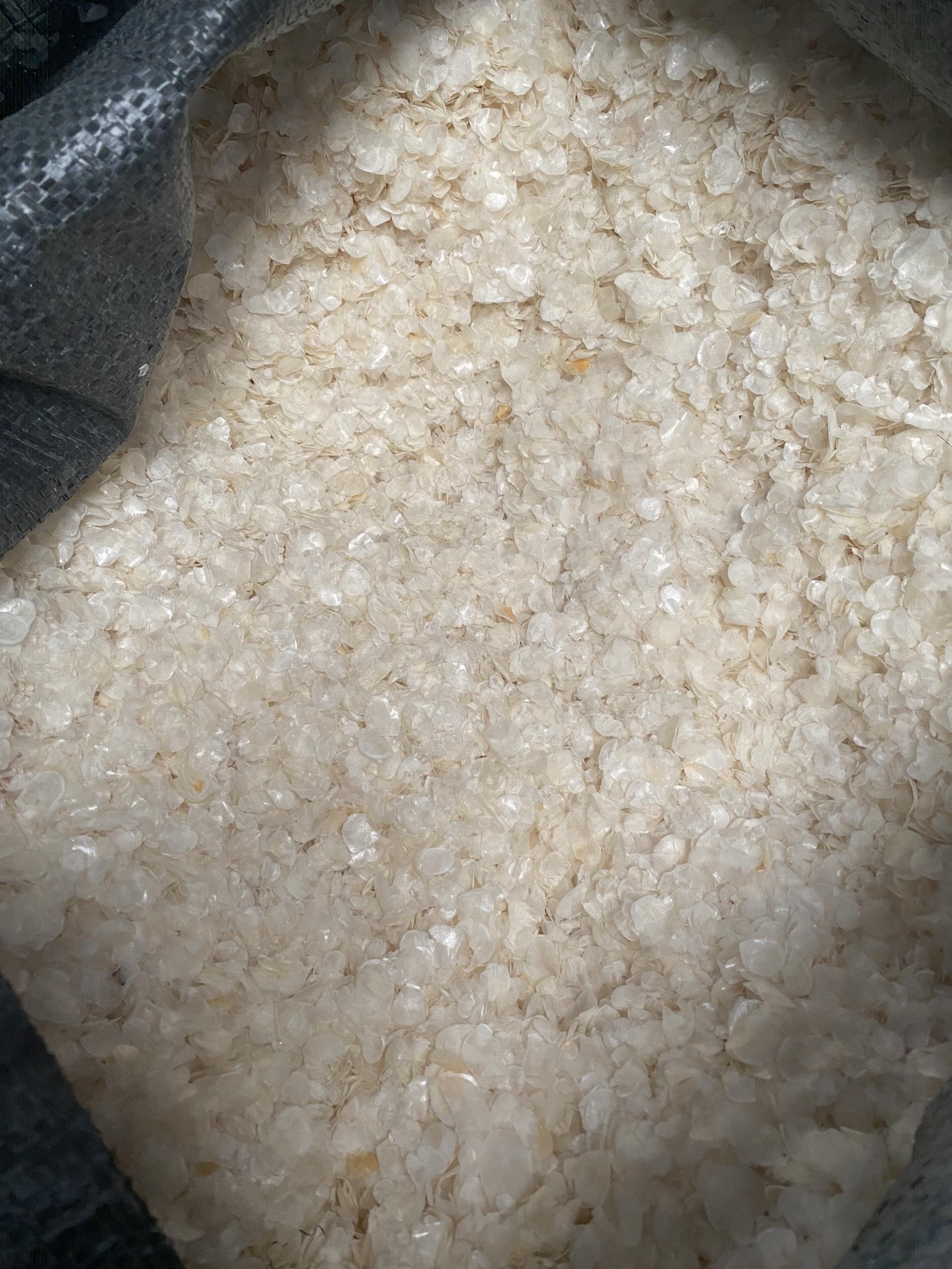 Tilapia Fish Scales for Collagen - Image 3