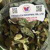 dried soursop leaf