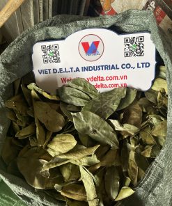 dried soursop leaf