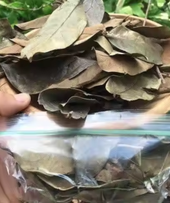 Alternative view of Dried Soursop Leaves