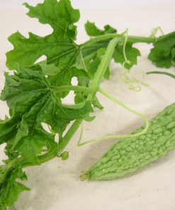 Dried Bitter Melon Leaves