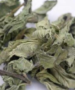 Alternative view of Mint Leaves