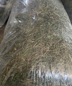 Alternative view of Dried Bitter Melon Leaves