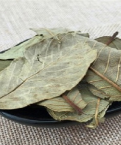 Alternative view of Guava leaves