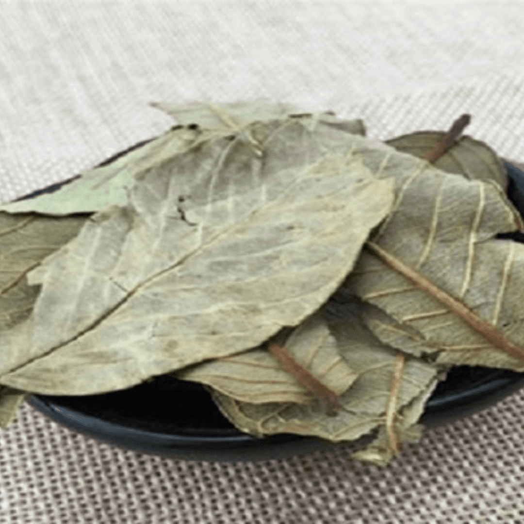 Guava leaves - Image 2